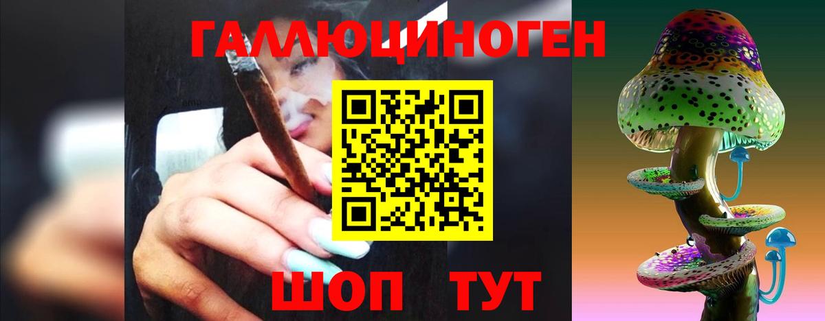 Галлюциногенные грибы Magic Shrooms  Вход с VPN  Камышин 